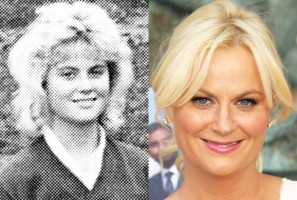 Amy Poehler - Lead Actress in a Comedy Series (Parks and Recreation)