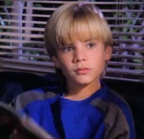 David Gallagher as Simon Camden