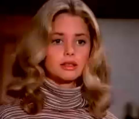 dianne kay eight is enough