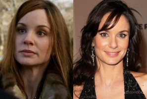 Sarah Wayne Callies SVU