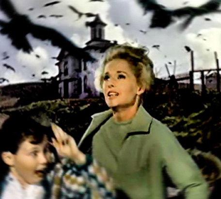 Tippi Hedren The Birds movie photo still melanie daniels