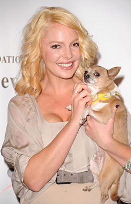 katherine heigl compassion revolution animal charity photo 2010
