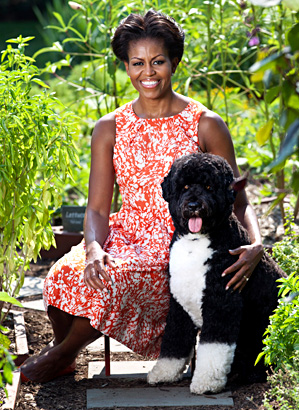 michelle barack obama official white house portrait photo young president first lady