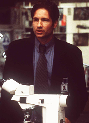david duchovny x files tv show 1998 photo