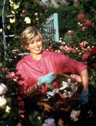 martha stewart living tv show 1991 photo