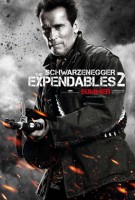 Arnold Schwarzenegger in The Expendables 2 in 2012